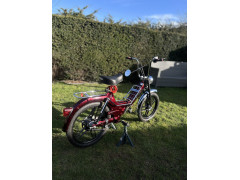 Puch Nicolas Dw
