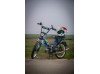 puch maxi v2