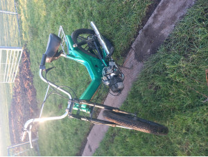 Project puch