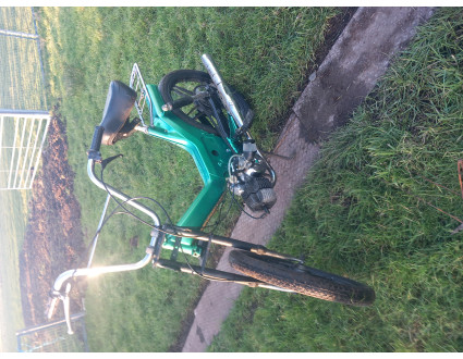 Project puch