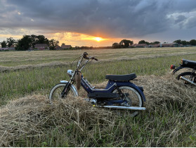 's Puch  Maxi S