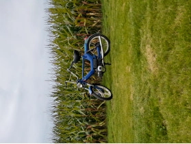 Jules's puch z-two