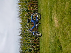 puch z-two