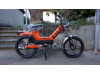 Orange & Black Dream