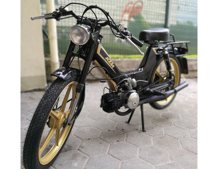 Black & Gold
