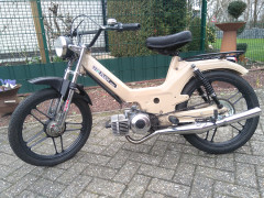 Puch Marco Tholema