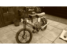 Rick's Puch Maxi S