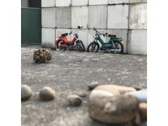 Puch Joel Keller