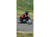 Classic 50cc replica cobra racer 
