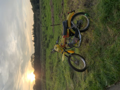 Puch Floris  Minnaard 