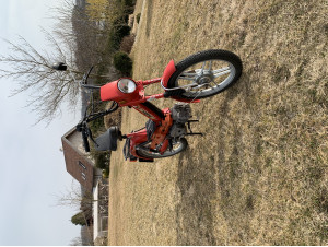 My first Puch Maxi 