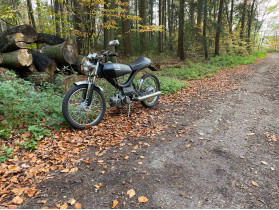 The ugly and the beauty