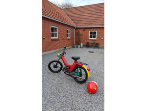 Puch p1 ^Harlequin^