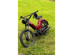 Puch Dirk Stammes