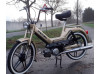 Der Goldene Max