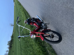 Puch Renzo Schmid