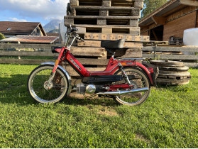 Lukas's Puch Maxi