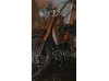 Puch AT