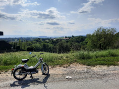 Puch Florian Skodic