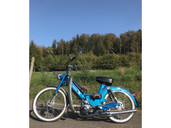 Puch Leonard Riesen