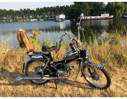 Puch MV 50