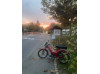 der rot maxi s 