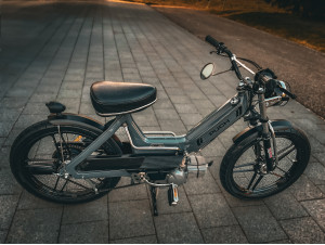 Grey Scrambler