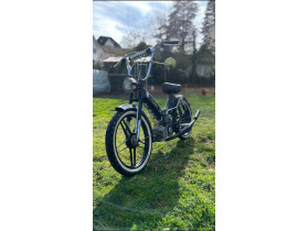 Robin's Puch Maxi s