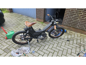Wilde Hilde