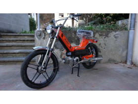 Orange & Black Dream