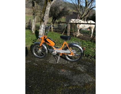 Tigra