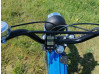 Blauwe parel