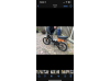 Puch maxi s (cherryblackPearl) (Carbon) 70cc +MVT
