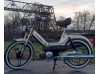 Der Goldene Max