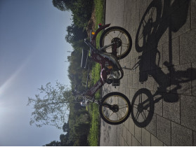 Puch Maxi S Italkit Racer