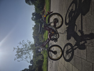 Puch Maxi S Italkit Racer