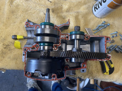 Puch C. Rogmann