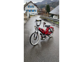 Colin's Puch Maxi