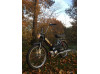 Puch Maxi-S