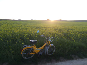 Puch Maxi 2