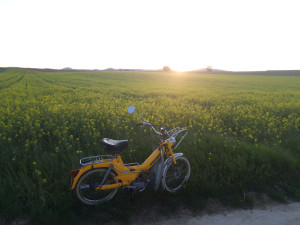 Puch Maxi 2