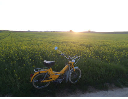 Puch Maxi 2