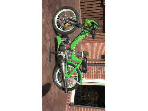 Streetfighter Green Devil