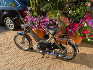 Daily Puch 