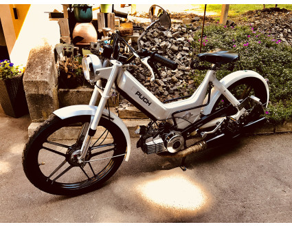 Maxi S starr