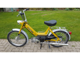 Puch Maxi N Gelb-Gold