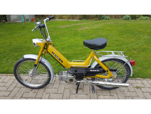 Puch Maxi N Gelb-Gold