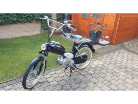 michel's Puch Ms50