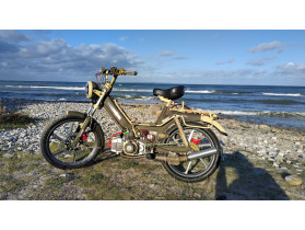 Morel's Puch Maxi  P1/S