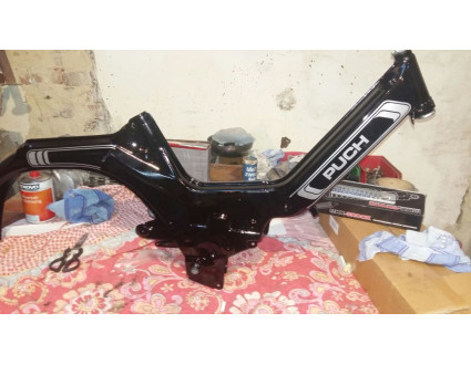 Puch  Resuscitation